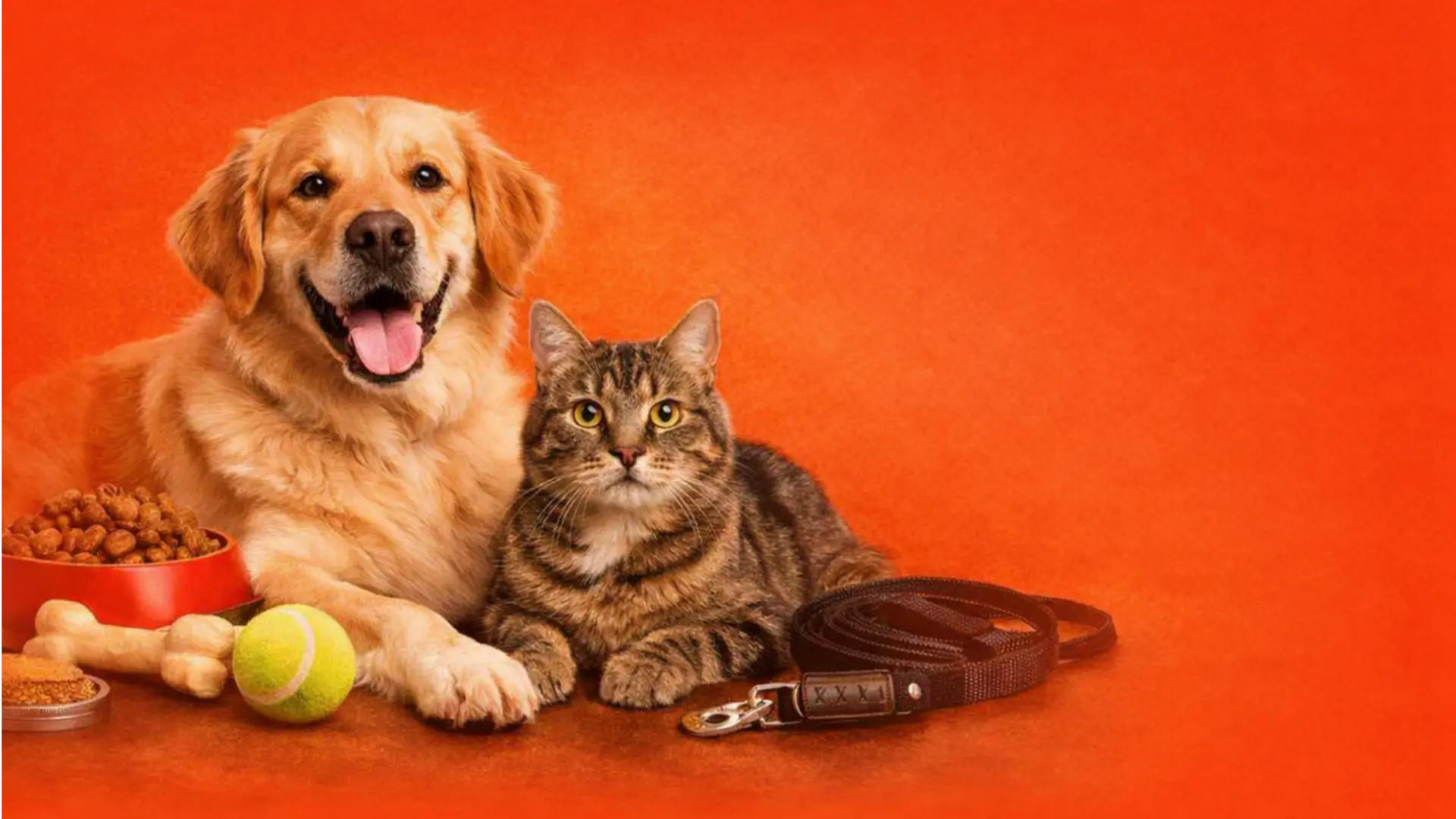 Petshop em Teresópolis - RJ: ração e pet food com entrega no CEP